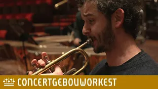 Principal trumpet Omar Tomasoni about Morricone's UT | Concertgebouworkest
