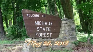 Michaux State Forest - Pennsylvania - Rocky Knob Hiking Trail