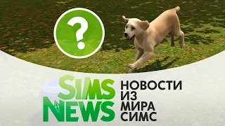 Sims News | Питомцам быть?