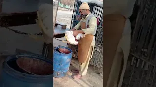 Dangerous Making Hen Meat Shop Africa