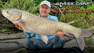 Gábor Döme – Wild Water Adventures part 58. – Fishing for Grass Carp on the Danube
