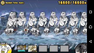 Manic Titan [Resident Feline]  vs Paris Cat