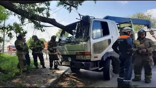 Дерево проткнуло кабину манипулятора: смертельные ДТП в Пензенской области