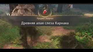 Black Desert Online - Древняя алая слеза Карнака