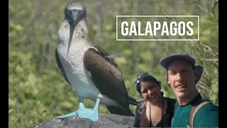 A dream trip, a cruise at the Galapagos Islands in Ecuador | 4k