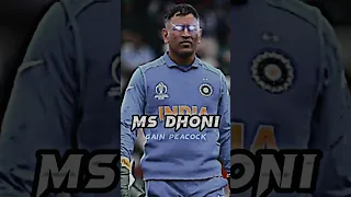MS dhoni vs Kieron Pollard (in ipl) #shorts #ipl #ipl2023 #youtubeshorts #cricket