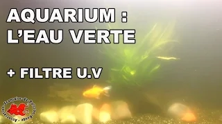 Aquarium Green water and UV filter