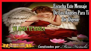 MENSAJE de los ÁNGELES PARA TI DIGEON💌ARCÁNGEL ARIEL💥TU ALMA TE HABLA🔴enseñanzas VERTI