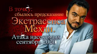 В точку: сбылось предсказание экстрасенса Мехди. Атака насекомых. Сентябрь 2020 г.