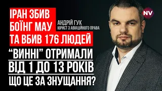 Випадковості у трагедії з українським боїнгом в Тегерані немає – Андрій Гук