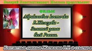 Абрикосовые косточки В. Железова - Золотой запас всей России.