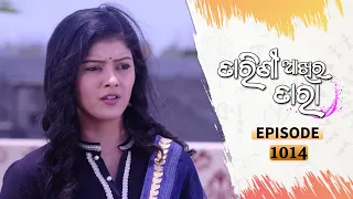 Tarini Akhira Tara | Full Ep 1014 | 3rd May 2021 | Odia Serial – TarangTV