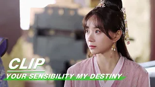 Clip: So Whose Fault Is It? | Your Sensibility My Destiny EP20 | 公子倾城 | iQiyi