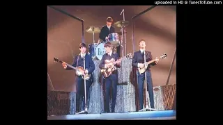 The Beatles She Loves You (Live At London Palladium 1963)