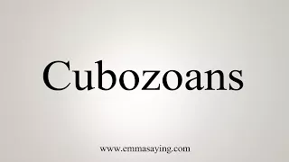 How To Say Cubozoans