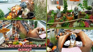 Сказочная декорация ! Была на даче, собрала  урожай.