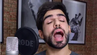 FLORES - VITÃO FEAT LUISA SONZA (RENAN PITANGA COVER)