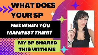What Is Your SP Thinking and Feeling Whilst You Are Manifesting Them? This Will Inspire You ✨️