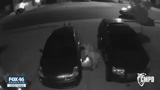 Surveillance shows suspects steal catalytic converter from vehicle in east Charlotte