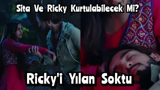 Masum / Ricky'i Yılan Soktu Sita Ve Ricky Kurtulabilecek Mi? / 475. bölüm