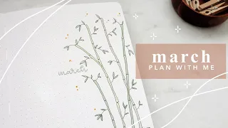 plan with me march 2024 | bamboo theme | monthly bullet journal setup