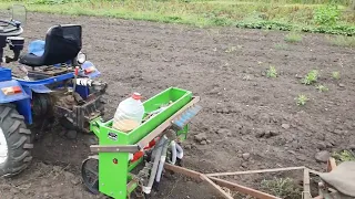 Сію Мототрактором Форте сидерати гірчіцю і рапс. Підготовка грунту для часнику