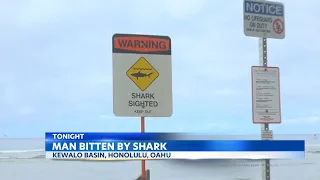 Shark attacks man at Kewalo Basin Harbor, lifeguards warn swimmers to stay out of water