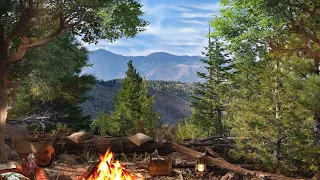 Spring Ambience | Sunny Day Ambience with Nature Sounds and Relaxing Campfire