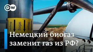 Сможет ли биогаз заменить Европе газ из России?