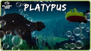 Ensuring Clean Water for Platypuses | Emerald Bay Sanctuary | EP.7 | Planet Zoo Oceania DLC