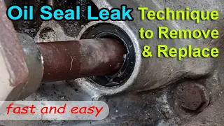 Remove Leak Shift shaft Oil Seal Easy using Screw - Replace STX motorcycle leak oil seal - technique