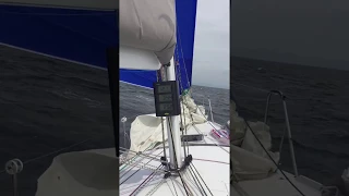 Pogo 30 downwind extreme sailing TWS 25 knots , 13kts BS