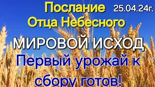 Послание Отца Небесного "Мировой исход. Первый урожай к сбору готов" 25.04.24г.Апостол Слова