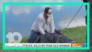 FWC: Alligator attacks and kills 85-year-old Florida woman walking her dog