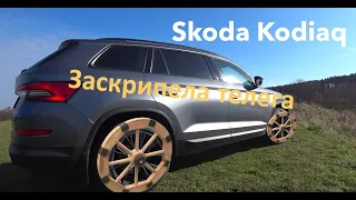 Skoda Kodiaq скрип колеса, едем исправлять