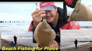 Beach Fishing for Plaice