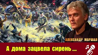 А Маршал А дома зацвела сирень