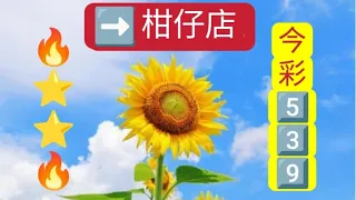 09/18🌻⭐🆚⭐⭐➡️參考