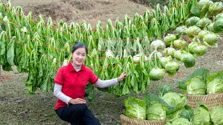 Harvest BITTER MUSTARD GREENS goes to the market sell - Cooking - Gardening | Ella Daily Life