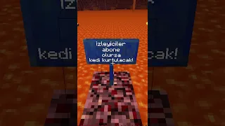 Minecraft'ta Kedimi Ölümden Kurtardım !! #shorts