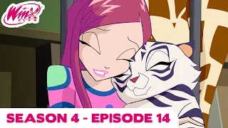 Winx Club - FULL EPISODE | 7: the Perfect Number | Season 4 Episode 14