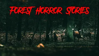 (3) Creepy FOREST Horror Stories - Part 2 [Hunted in the Woods & MORE!]