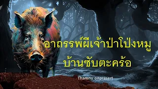 อาถรรพ์ผีเจ้าป่าโป่งหมู บ้านซับตะคร้อ