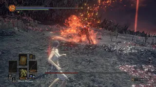 Dark Souls 3 - Soul of Cinder (Bow Only) *No Damage