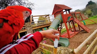 Training your parrot to free flight