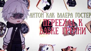 Реакция Tiny Bunny на Антона как Валера Гостер "переехал к бабке Гренни"//чит описание//1/2