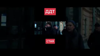 ДДТ  --  Стая  //  Ссылка на оригинал в описании