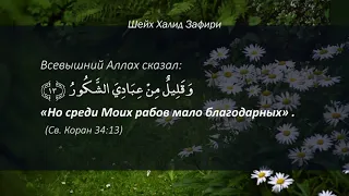 Как проявляется истинная благодарность Аллаху? - Шейх Халид Зафири