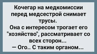 Кочегар с Большим "Хозяйством" на Медкомиссии! Сборник Свежих Анекдотов! Юмор!