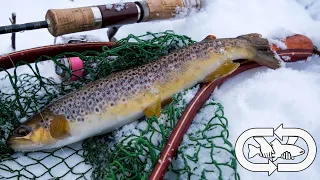 TROUT в январе, где искать форель зимой.